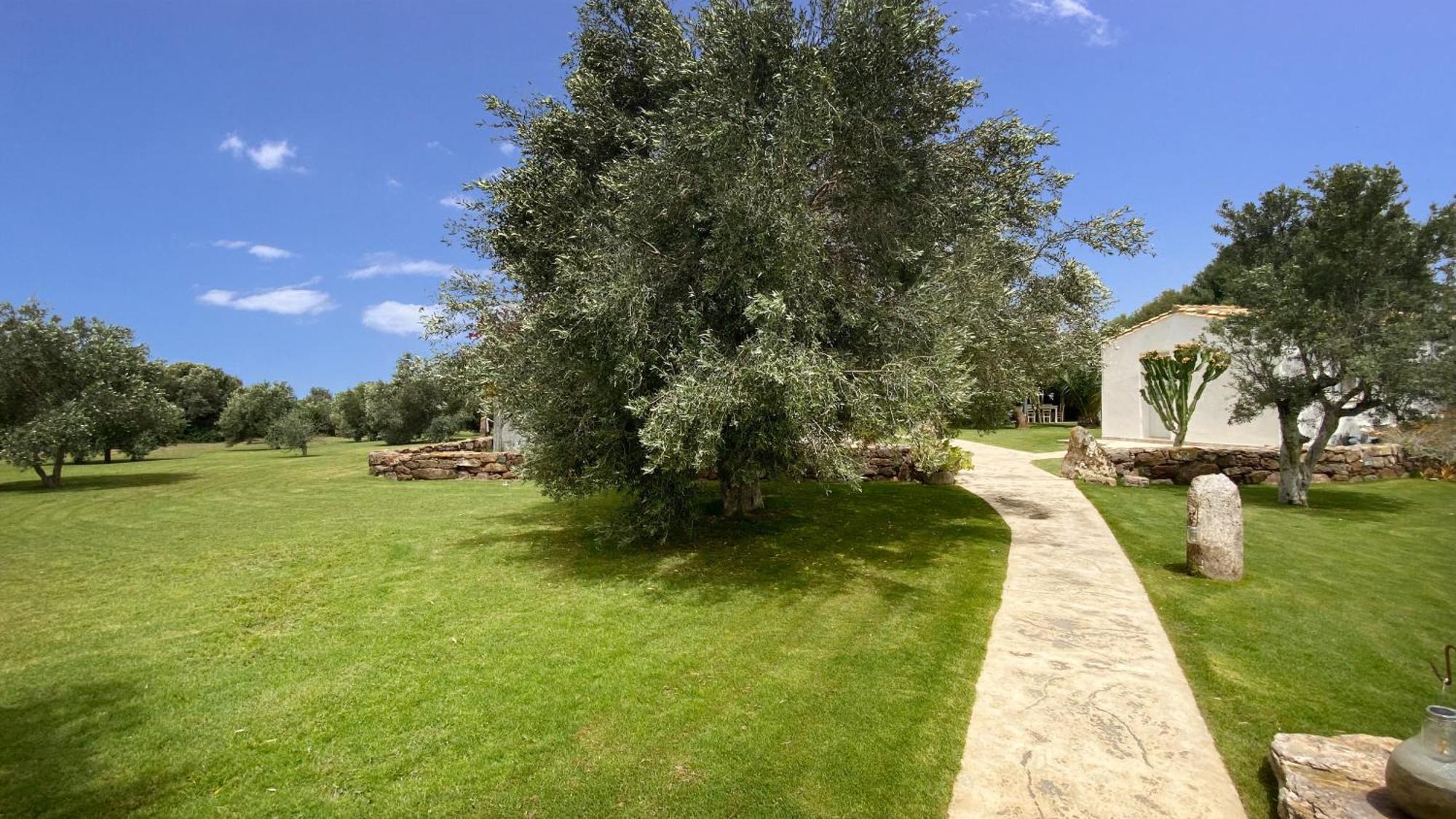Villa Oasi Blu Calasetta Esterno foto